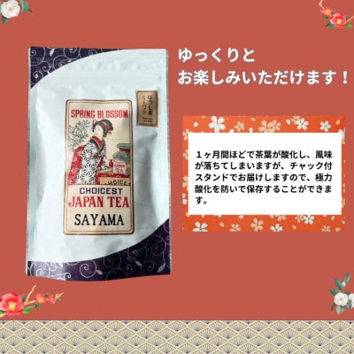 計40パック　チャック付スタンド袋入り 狭山茶ほうじ茶ティーバッグ「霞川 ほうじ茶」【1560766】