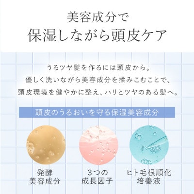 〈12本セット〉モイスチャーシャンプー(1年分)[LULUNA]ルルーナ【1662710】