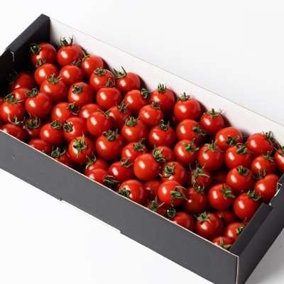 蜈・髢灘クら肇螳檎溘Α繝九ヨ繝槭ヨ縲悟鴻譫(縺。縺)縲2kg縲宣埼∽ク榊庄蝨ー蝓滂シ夐屬蟲カ縲代1491951縲