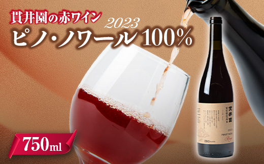2023 赤ワイン　ピノ・ノワール100%　1本　貫井園のワイン【1563823】