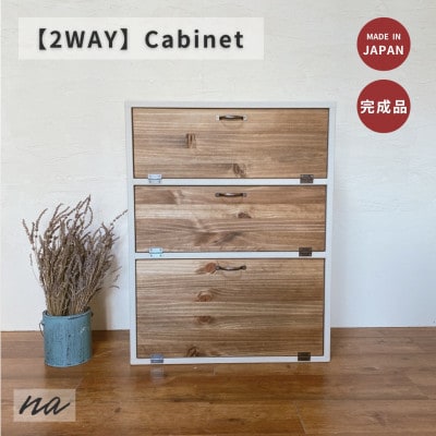 2WAY キャビネット 収納  na175【1660974】