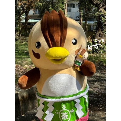 入間市観光大使「いるティー」ぬいぐるみ【1622163】