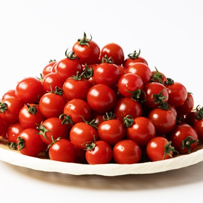 蜈・髢灘クら肇螳檎溘Α繝九ヨ繝槭ヨ縲悟鴻譫(縺。縺)縲2kg縲宣埼∽ク榊庄蝨ー蝓滂シ夐屬蟲カ縲代1491951縲