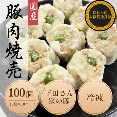 完全手作り!　自家特製シュウマイ計100個　10個×10パック　蒸し後　冷凍　国産豚　小分け【配送不可地域：離島】【1610615】