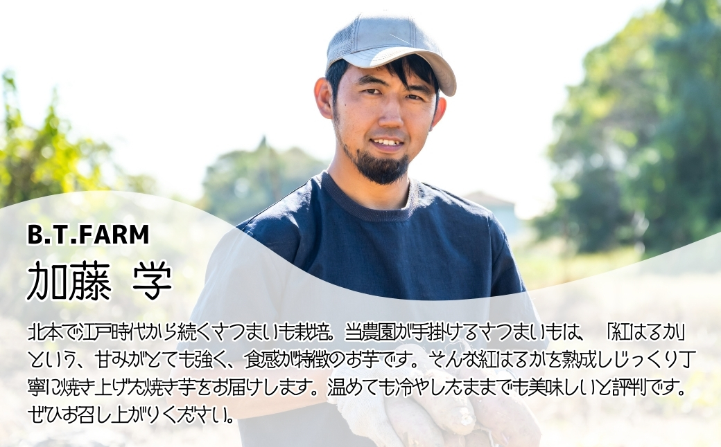 冷凍焼き芋 紅はるか 5パック(2.5kg) | 焼き芋 焼きいも さつまいも サツマイモ 冷凍 さつま芋 ねっとり 蜜 熟成 しっとり 真空パック べにはるか おやつ 健康 朝食 腸活 ダイエット 国産 冷やし焼き芋 B.T.FARM 埼玉県 北本市