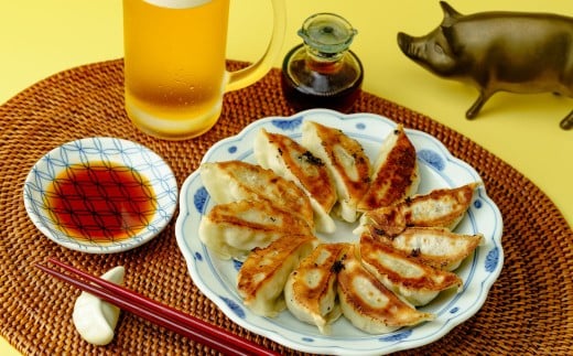 定期便 全3回 餃子 毎月40個 人気店の旨味あふれる冷凍餃子 | 大容量 ギョウザ 冷凍餃子 ギョーザ 冷凍ギョウザ 冷凍 冷凍ぎょうざ ぎょうざ ぎょーざ おいしい 手軽 食べ比べ 美味しい おつまみ 国産野菜 中華 簡単調理 惣菜 北本フーズ 埼玉県 北本市