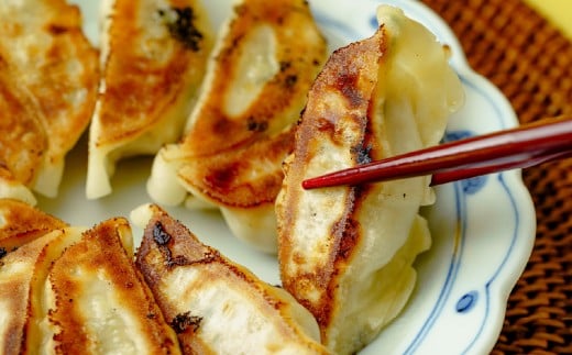 定期便 全3回 餃子 毎月40個 人気店の旨味あふれる冷凍餃子 | 大容量 ギョウザ 冷凍餃子 ギョーザ 冷凍ギョウザ 冷凍 冷凍ぎょうざ ぎょうざ ぎょーざ おいしい 手軽 食べ比べ 美味しい おつまみ 国産野菜 中華 簡単調理 惣菜 北本フーズ 埼玉県 北本市