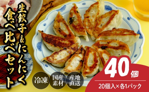 にんにく餃子20個&生餃子20個 餃子 40個 人気店の旨味あふれる冷凍餃子 | 大容量 ギョウザ 冷凍餃子 ギョーザ 冷凍ギョウザ 冷凍 冷凍ぎょうざ ぎょうざ ぎょーざ おいしい 手軽 食べ比べ 美味しい おつまみ 国産野菜 中華 簡単調理 惣菜 北本フーズ 埼玉県 北本市