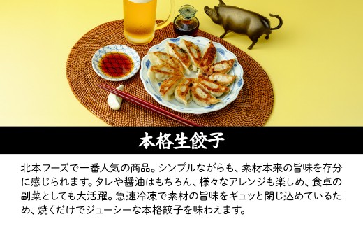 餃子・焼売【定期便全3回(連続)】冷凍餃子・ジャンボシューマイ 計100個| ギョーザ ギョウザ ぎょうざ 大粒 焼売 しゅうまい シュウマイ gyoza shuumai シューマイ シュウマイ しゅうまい レンチン おいしい 手軽 美味しい 国産 簡単 惣菜 北本フーズ 北本市