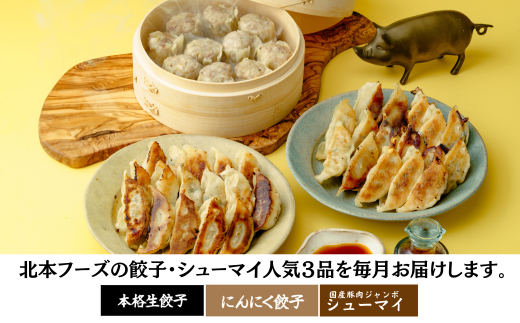 餃子・焼売【定期便全3回(連続)】冷凍餃子・ジャンボシューマイ 計100個| ギョーザ ギョウザ ぎょうざ 大粒 焼売 しゅうまい シュウマイ gyoza shuumai シューマイ シュウマイ しゅうまい レンチン おいしい 手軽 美味しい 国産 簡単 惣菜 北本フーズ 北本市