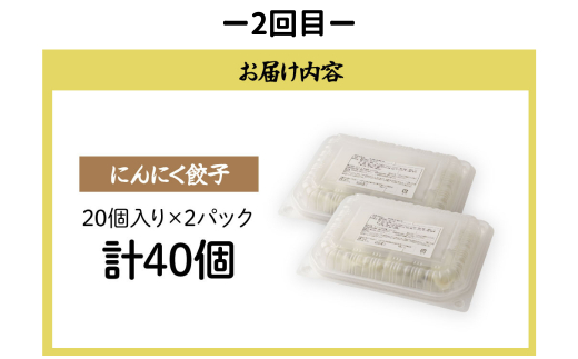餃子・焼売【定期便全3回(連続)】冷凍餃子・ジャンボシューマイ 計100個| ギョーザ ギョウザ ぎょうざ 大粒 焼売 しゅうまい シュウマイ gyoza shuumai シューマイ シュウマイ しゅうまい レンチン おいしい 手軽 美味しい 国産 簡単 惣菜 北本フーズ 北本市