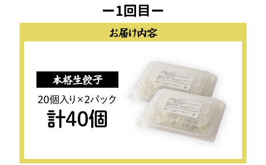 餃子・焼売【定期便全3回(連続)】冷凍餃子・ジャンボシューマイ 計100個| ギョーザ ギョウザ ぎょうざ 大粒 焼売 しゅうまい シュウマイ gyoza shuumai シューマイ シュウマイ しゅうまい レンチン おいしい 手軽 美味しい 国産 簡単 惣菜 北本フーズ 北本市