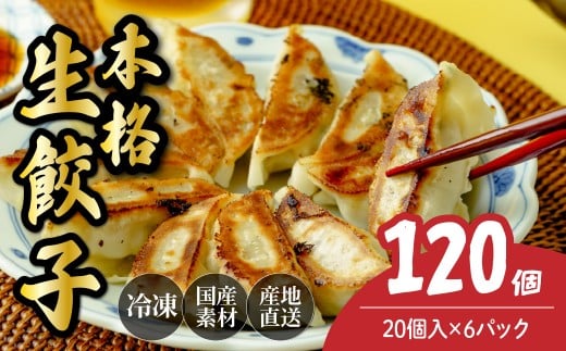 本格生餃子20個×6箱 餃子 120個 人気店の旨味あふれる冷凍餃子 | 大容量 ギョウザ 冷凍餃子 ギョーザ 冷凍ギョウザ 冷凍 冷凍ぎょうざ ぎょうざ ぎょーざ おいしい 手軽 食べ比べ 美味しい おつまみ 国産野菜 中華 簡単調理 惣菜 北本フーズ 埼玉県 北本市