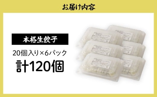本格生餃子20個×6箱 餃子 120個 人気店の旨味あふれる冷凍餃子 | 大容量 ギョウザ 冷凍餃子 ギョーザ 冷凍ギョウザ 冷凍 冷凍ぎょうざ ぎょうざ ぎょーざ おいしい 手軽 食べ比べ 美味しい おつまみ 国産野菜 中華 簡単調理 惣菜 北本フーズ 埼玉県 北本市