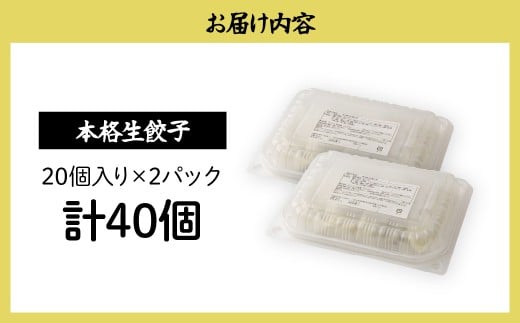 本格生餃子20個×2箱 餃子 40個 人気店の旨味あふれる冷凍餃子 | 大量 大容量 ギョウザ 冷凍餃子 ギョーザ 冷凍ギョウザ 冷凍 冷凍ぎょうざ ぎょうざ ぎょーざ おいしい 手軽 食べ比べ 美味しい おつまみ 国産野菜 中華 簡単調理 惣菜 北本フーズ 埼玉県 北本市