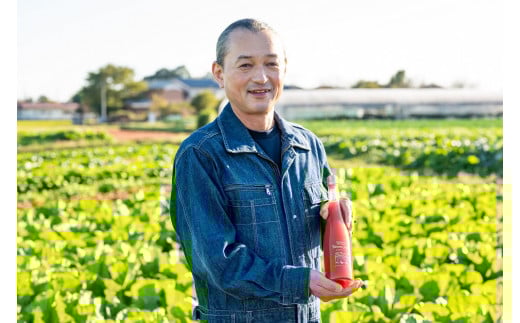 トマトジュース 500ml ×2本 | トマト100％ 1l 野菜ジュース 無添加 100%トマトジュース 濃厚 プレミアム  ミニトマト 濃い 糖度 10度 ジュース リコピン ドリンク 飲み物 500ミリリットル 1リットル 野菜 飲み物 健康 ご褒美 ごほうび 贅沢 優しい やさしい 飲料 内田農園 ベジファーム北本 埼玉県 北本市