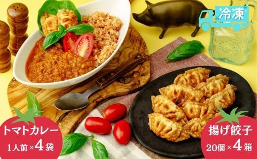 揚げ 餃子 北本トマトカレー セット 餃子80個 +カレー4人前 | ギョウザ 冷凍餃子 ギョーザ 冷凍ギョウザ 冷凍ぎょうざ ぎょうざ ぎょーざ B級 ご当地 グルメ王 入賞 トマト トマトカレー カレー ご当地カレー 冷凍カレー 手軽 食べ比べ 大家族 美味しい おやつ おつまみ 国産野菜 お手軽 大容量 中華 簡単調理 惣菜 北本フーズ 埼玉県 北本市