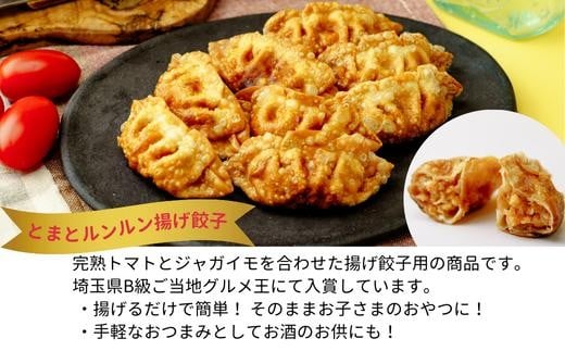 揚げ 餃子 北本トマトカレー セット 餃子80個 +カレー4人前 | ギョウザ 冷凍餃子 ギョーザ 冷凍ギョウザ 冷凍ぎょうざ ぎょうざ ぎょーざ B級 ご当地 グルメ王 入賞 トマト トマトカレー カレー ご当地カレー 冷凍カレー 手軽 食べ比べ 大家族 美味しい おやつ おつまみ 国産野菜 お手軽 大容量 中華 簡単調理 惣菜 北本フーズ 埼玉県 北本市