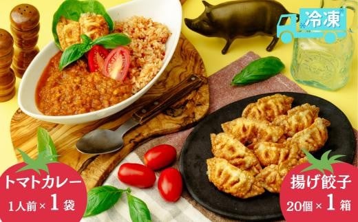 揚げ 餃子 北本トマトカレー セット 餃子20個 +カレー1人前 | ギョウザ 冷凍餃子 ギョーザ 冷凍ギョウザ 冷凍ぎょうざ ぎょうざ ぎょーざ B級 ご当地 グルメ王 入賞 トマト トマトカレー カレー ご当地カレー 冷凍カレー 手軽 食べ比べ 大家族 美味しい おやつ おつまみ 国産野菜 お手軽 大容量 中華 簡単調理 惣菜 北本フーズ 埼玉県 北本市
