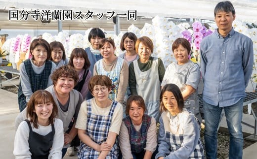 ãå
è¡äºçŽãè¡è¶è é»è² ã¢ã«ãã㹠倧茪 3æ¬ç«ãŠ | è± ãè± å€§èŒªè¡è¶è ãã¡ãããã ã³ãã§ãŠã©ã³ è æŽè è± èŽç éåºç¥ã ã®ãã èŽãç© ãã¬ãŒã³ã åŸ¡ç¥ ãç¥ã 鿥ç¥ã æ°ç¯ç¥ã åŒè¶ãç¥ã çµå©ç¥ã åºç£ç¥ã å
ç¥ã æé²ç¥ã èªçæ¥ çµå©èšå¿µæ¥ èšå¿µæ¥ æ¯ã®æ¥ ç¶ã®æ¥ æ¬èã®æ¥ ãäžå
ãæ³æ® ä»äº åœå寺æŽèå åŒçç 忬åž