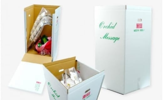 ãå
è¡äºçŽãè¡è¶è é»è² ã¢ã«ãã㹠倧茪 3æ¬ç«ãŠ | è± ãè± å€§èŒªè¡è¶è ãã¡ãããã ã³ãã§ãŠã©ã³ è æŽè è± èŽç éåºç¥ã ã®ãã èŽãç© ãã¬ãŒã³ã åŸ¡ç¥ ãç¥ã 鿥ç¥ã æ°ç¯ç¥ã åŒè¶ãç¥ã çµå©ç¥ã åºç£ç¥ã å
ç¥ã æé²ç¥ã èªçæ¥ çµå©èšå¿µæ¥ èšå¿µæ¥ æ¯ã®æ¥ ç¶ã®æ¥ æ¬èã®æ¥ ãäžå
ãæ³æ® ä»äº åœå寺æŽèå åŒçç 忬åž