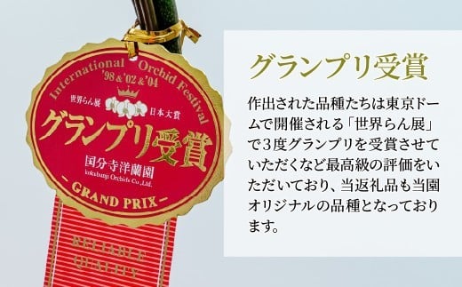 ãå
è¡äºçŽãè¡è¶è é»è² ã¢ã«ãã㹠倧茪 3æ¬ç«ãŠ | è± ãè± å€§èŒªè¡è¶è ãã¡ãããã ã³ãã§ãŠã©ã³ è æŽè è± èŽç éåºç¥ã ã®ãã èŽãç© ãã¬ãŒã³ã åŸ¡ç¥ ãç¥ã 鿥ç¥ã æ°ç¯ç¥ã åŒè¶ãç¥ã çµå©ç¥ã åºç£ç¥ã å
ç¥ã æé²ç¥ã èªçæ¥ çµå©èšå¿µæ¥ èšå¿µæ¥ æ¯ã®æ¥ ç¶ã®æ¥ æ¬èã®æ¥ ãäžå
ãæ³æ® ä»äº åœå寺æŽèå åŒçç 忬åž