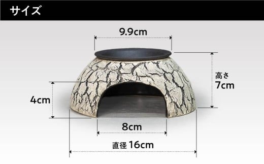 トカゲの家 ウェットシェルター 水色 爬虫類 | ペット トカゲ とかげ