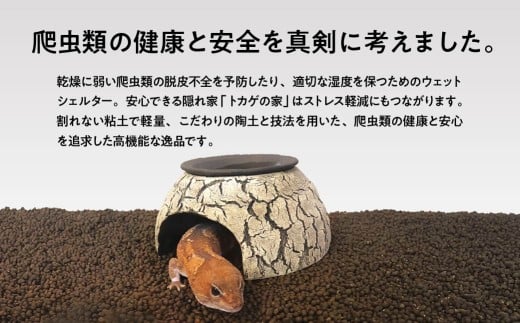 トカゲの家 ウェットシェルター 黄 爬虫類 | ペット トカゲ とかげ ペット用品 爬虫類用 シェルター 隠れ家 飼育用品 家 カビ抑制 観察 陶器 おしゃれ おうち デザイン 飼育 黒地 レオパードゲッコー レオパ フトアゴ イモリ カエル ヘビ 脱皮 作家 アーティスト ギフト 作品 手仕事 陶芸 インテリア オブジェ 自然 ナチュラル イエロー yellow セキグチタカヒト 埼玉県 北本市
