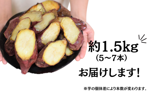 【訳あり】農家自家製 蜜 あふれる 紅はるか 冷凍焼き芋 5～7本 (約1.5kg) | 埼玉県 北本市 石焼き芋 いしやきいも ヤキイモ 焼きイモ さつまいも サツマイモ さつま芋 ねっとり しっとり 真空パック 天然ムロ貯蔵 熟成 べにはるか ベニハルカ 蜜 落葉堆肥 健康 朝食 筋トレ 腸活 ダイエット 国産