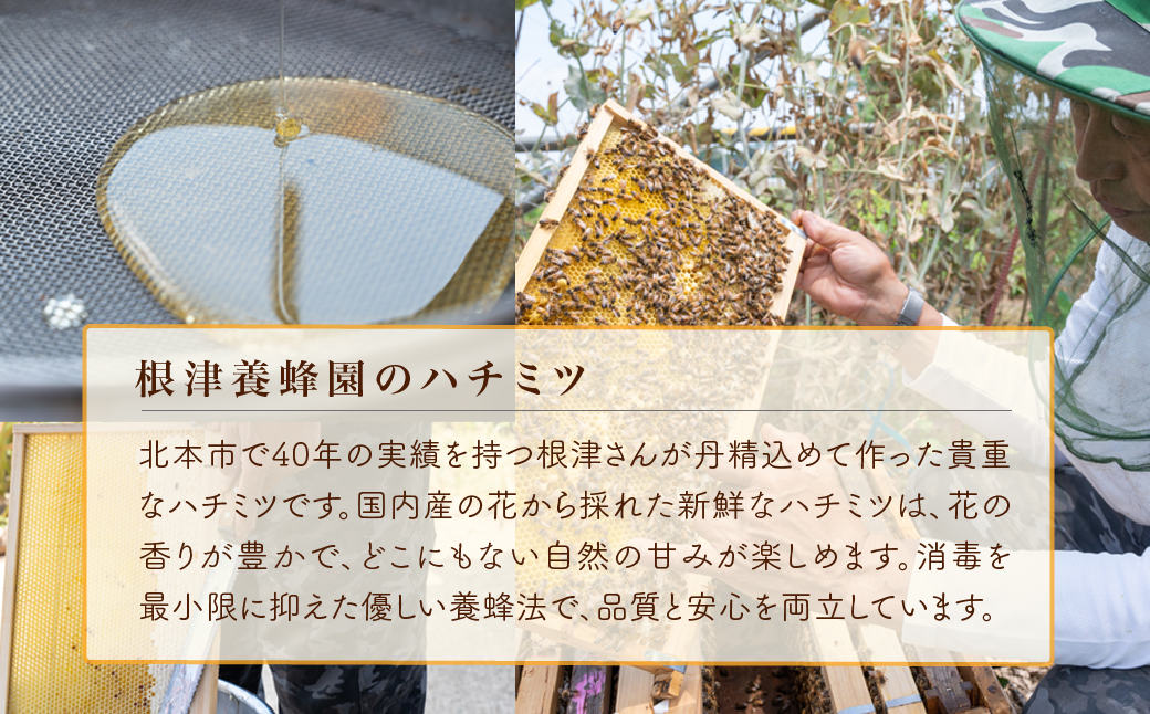 北本産 百花はちみつ 600g×2瓶 根津ぶんぶーん農園 | はちみつ 蜂蜜 ハチミツ HONEY ハニー 百花 トースト 国産 ホットケーキ パンケーキ 健康 朝食 ヨーグルト プレゼント 贈答 贈り物 埼玉県 北本市