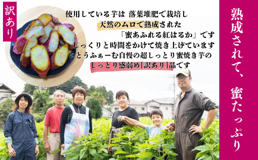 【訳あり】農家自家製 蜜 あふれる 紅はるか 冷凍焼き芋 5～7本 (約1.5kg) | 埼玉県 北本市 石焼き芋 いしやきいも ヤキイモ 焼きイモ さつまいも サツマイモ さつま芋 ねっとり しっとり 真空パック 天然ムロ貯蔵 熟成 べにはるか ベニハルカ 蜜 落葉堆肥 健康 朝食 筋トレ 腸活 ダイエット 国産