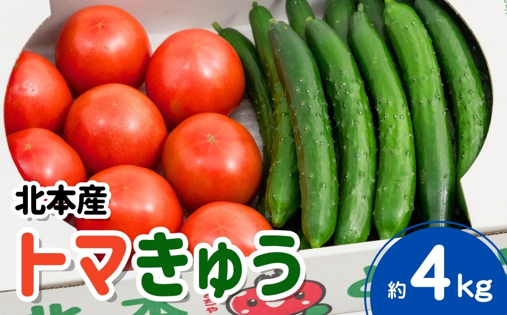 トマト きゅうりセット 計約4kg | とまと キュウリ tomato 胡瓜 国産 野菜 野菜セット 旬の野菜 野菜詰め合わせ 詰め合わせ つめあわせ 旬 季節限定 産直 産地直送 新鮮 採れたて 獲れたて 産地直送 ベジタブル ヘルシー 健康 北本産 JA 地場物産館 桜国屋 埼玉県 北本市