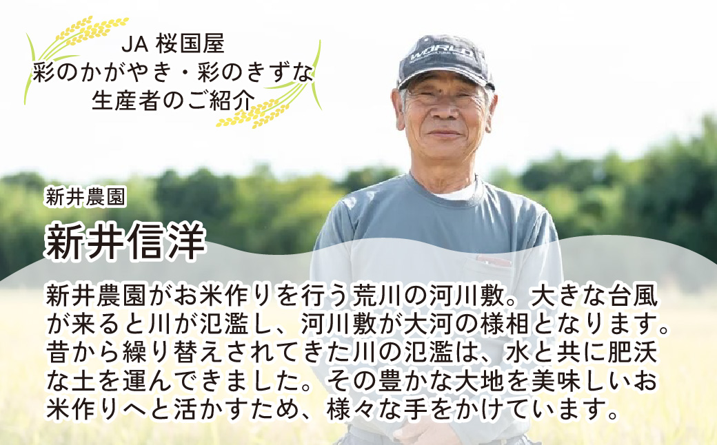 令和6年産】埼玉県産 彩のかがやき 10kg (5kg×2袋) | 米 おこめ お米 こめ コメ ごはん ご飯 白飯 ゴハン 白米 精米 特産 ブランド 米 10キロ 米 ごはん 健康 おいしい kome 和食 安全 安心 大粒 弾力 甘み 旨み 粘り