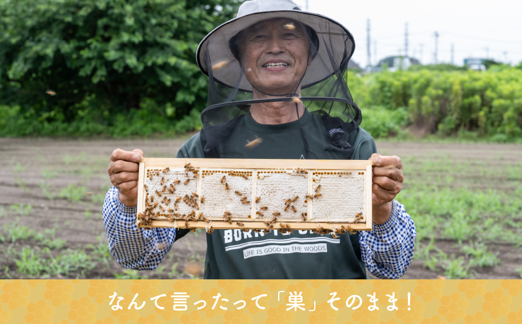 北本産 巣みつ入りはちみつ 百花蜜 300g×1瓶 根津ぶんぶーん農園 | はちみつ 蜂蜜 ハチミツ HONEY ハニー コムハニー 百花蜜 巣房蜜 巣蜜 蜜蝋 百花 トースト ホットケーキ パンケーキ ヨーグルト アイス ハニートースト 調味料 甘味料 健康 味変 朝食 養蜂場 プレゼント ギフト 贈答 贈り物 常備品 埼玉県 北本市