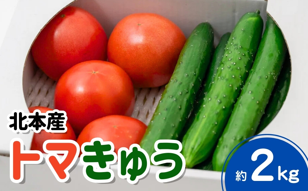 トマト きゅうりセット 計約2kg | とまと キュウリ tomato 胡瓜 国産 野菜 野菜セット 旬の野菜 野菜詰め合わせ 詰め合わせ つめあわせ 旬 季節限定 産直 産地直送 新鮮 採れたて 獲れたて 産地直送 ベジタブル ヘルシー 健康 北本産 JA 地場物産館 桜国屋 埼玉県 北本市