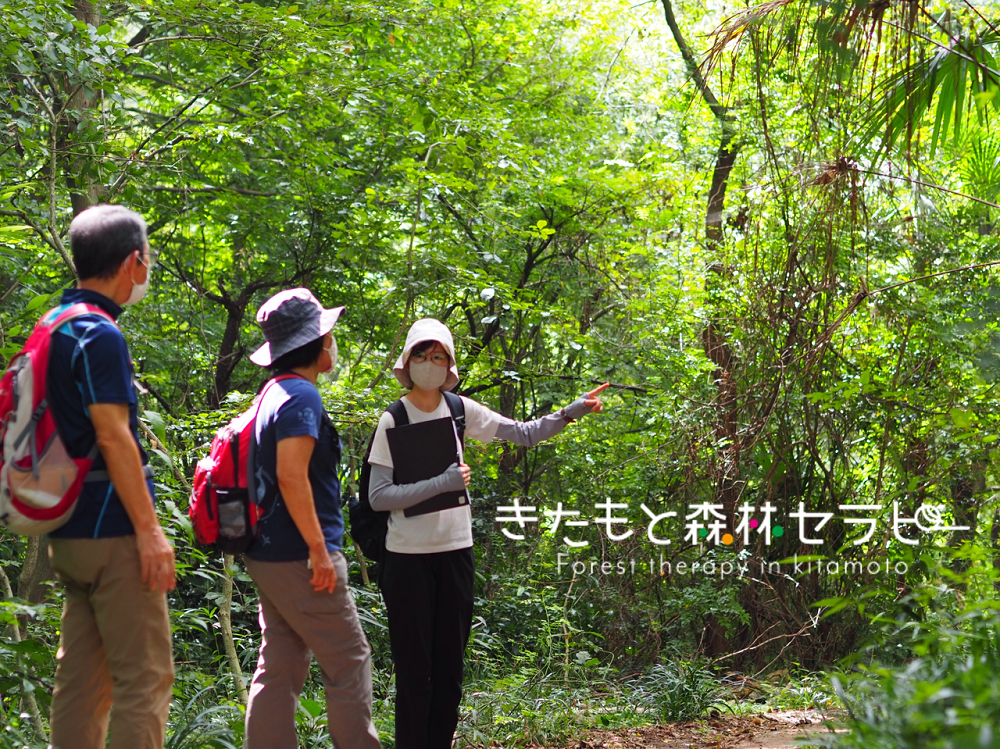 きたもと森林セラピー 体験コース（1～3名）