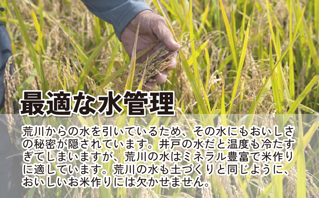 ãçœç±³ 什å7幎ç£ãé£ã¹æ¯ã¹ èš10kg (5kgÃ2è¢) 圩ã®ãããã 圩ã®ãã㪠åŒççç£ | ç±³ ããã ãç±³ ãã ã³ã¡ ãã¯ã ã飯 çœé£¯ ãŽãã³ çœç±³ 粟米 ç¹ç£ ãã©ã³ãç±³ 10ãã ç±³ ãã¯ã å¥åº· ãããã kome åé£ å®å
š å®å¿ å€§ç² åŒŸå çã¿ æšã¿ ç²ã ãããã TKG åµããã飯 ãã«ãã ãããã³ ãã é® æµ·è ã³ã·ãã«ãª åç²§ç®± èŽç ã®ãã ãã¬ãŒã³ã åŒçç 忬åž