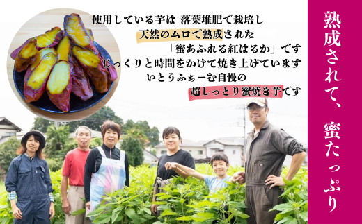 農家自家製 蜜 あふれる 紅はるか 冷凍焼き芋 5～7本 (約1.5kg) | 埼玉県 北本市 石焼き芋 いしやきいも ヤキイモ 焼きイモ さつまいも サツマイモ さつま芋 ねっとり しっとり 真空パック 天然ムロ貯蔵 熟成 べにはるか ベニハルカ 蜜 落葉堆肥 健康 朝食 筋トレ 腸活 ダイエット 国産