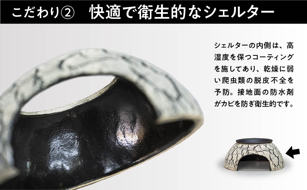 ウェットシェルター 白 爬虫類 |トカゲ レオパードゲッコー レオパ フトアゴ イモリ カエル ヘビ ペット 爬虫類用 シェルター 保湿 陶器 家 カビ抑制 隠れ家 おしゃれ おうち デザイン とかげの家 飼育 作家 アーティスト 飼育用品 ギフト 作品 手づくり 陶芸家 とかげ 脱皮 インテリア オブジェ 観察 自然 飼育品 ナチュラル セキグチ タカヒト 埼玉県 北本市