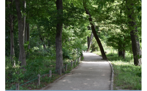 å®å¿ã»å®å
šã§èªç¶ãšå
±åããäœã¿ããããŸã¡ã¥ããã«é¢ããäºæ¥