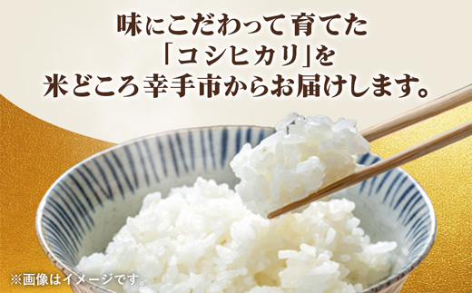 埼玉県幸手市産神扇機械化センターさんのコシヒカリ5kg×2 - こしひかり 10kg 米 精米 食味 こだわり おすすめ 幸手市産 埼玉県 幸手市