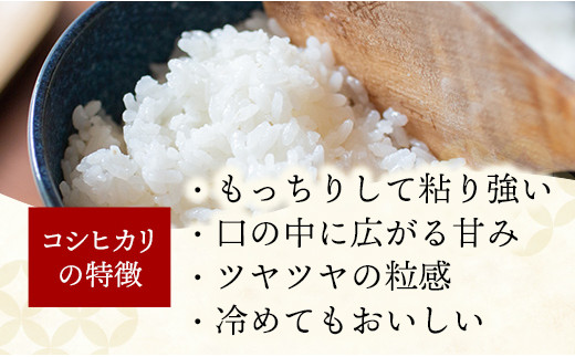 令和6年度産【特別栽培米】コシヒカリ 5kg - こしひかり 5kg 令和6年産 精米 埼玉県 幸手市 幸手市産