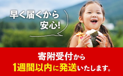 令和7年産【彩のきずな】玄米10kg 色彩選別済 Brown Rice - お米 米 ごはん 玄米 10kg 埼玉県 幸手市