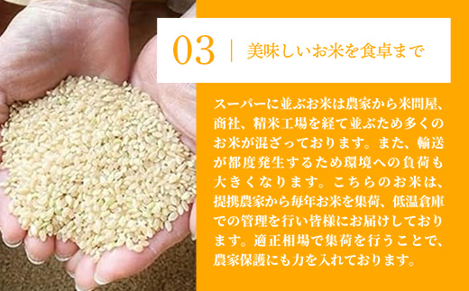 令和7年産【彩のきずな】白米20kg 色彩選別済 White Rice- お米 米 ごはん 精米 20kg 埼玉県 幸手市