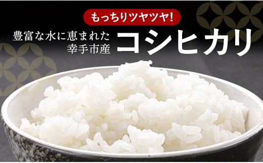 什å7å¹Žç£ å¹žæåžç£ ã³ã·ãã«ãª çœç±³20kg è²åœ©éžå¥æž White Rice- ãç±³ ç±³ ããã²ãã 粟米 20kg åŒçç 幞æåž