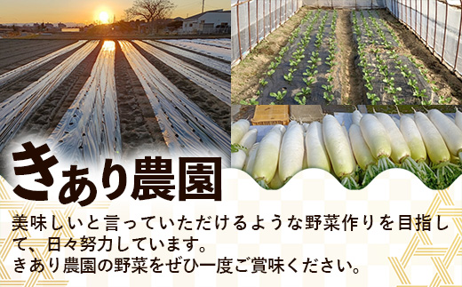 【きあり農園】2026年度 幸手市産 かぼちゃ 約10kg - カボチャ 南瓜 くり大将 くり将軍 産地直送 野菜 ベジタブル 美味しい おいしい 緑黄色野菜 大容量 国産 おすすめ 送料無料 埼玉県 幸手市