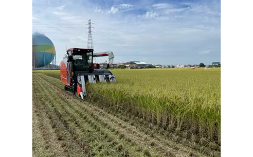 ã什å7幎ç£ãææ©è¥æ 100ïŒ
åŒçç幞æåžç£ç¹å¥æ œå¹ã³ã·ãã«ãª çç±³ 5kg - 2025幎10æ1é±ç®ããé æ¬¡çºé æ°ç±³çºé ã³ã·ãã«ãª ããã²ãã ç±³ çç±³ 5kg ææ©è¥æ ç¹å¥æ œå¹å¹žæåžç£ åŒçç 幞æåž