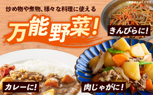 【きあり農園】幸手市産 人参 10kg - 採れたて にんじん ニンジン 産地直送 野菜 ベジタブル 美味しい おいしい 根菜 煮物 炒め物 カレー サラダ おすすめ 送料無料 埼玉県 幸手市