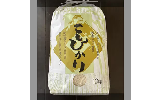 【令和7年産】有機肥料100％ 埼玉県幸手市産特別栽培コシヒカリ 精米10kg -2025年10月1週目より順次発送 新米発送 コシヒカリ こしひかり 米 精米 10kg 有機肥料 特別栽培米 幸手市産 埼玉県 幸手市