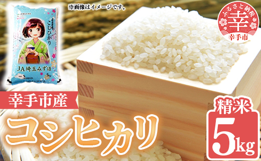 令和6年度産 コシヒカリ 5kg - こしひかり 5kg 令和6年産 精米 埼玉県 幸手市 幸手市産